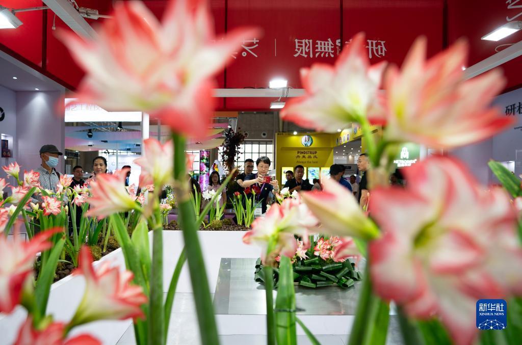 金沙娱手机乐登录口